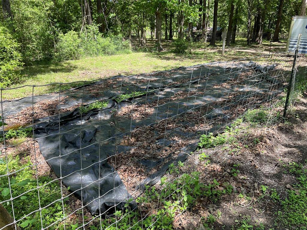 Garden area that is very rich soil and if covered for protection.  Ready to be uncovered and planted.
