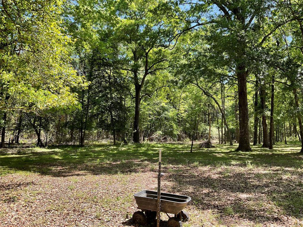 Part of the property is still untouched.