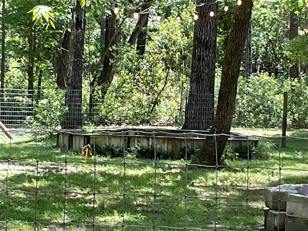 This is an are where the sellers had pet turtles.