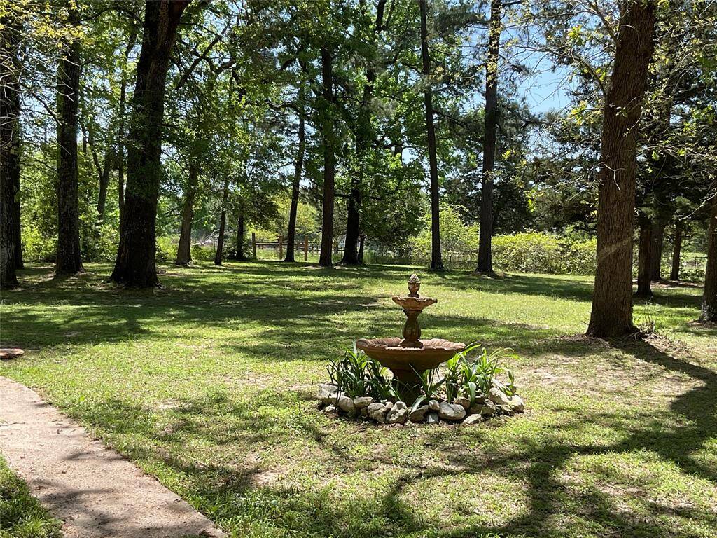 This is the front yard, nicely mowed.