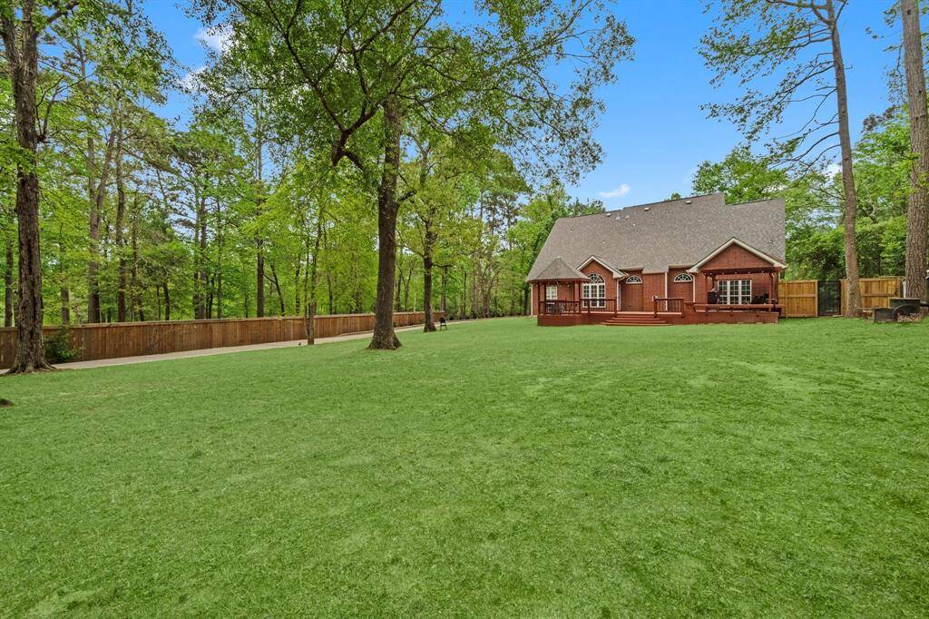 Back Yard w/ Imposed Grass
