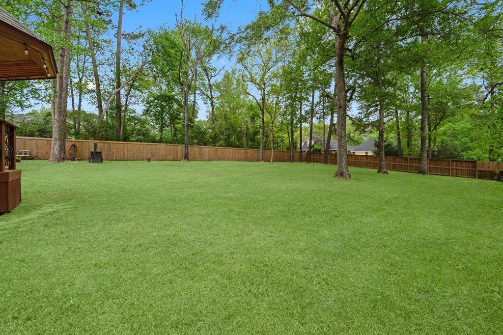 Back Yard w/Imposed Grass
