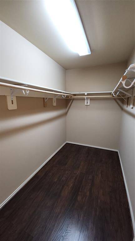 Walk-in Master Closet