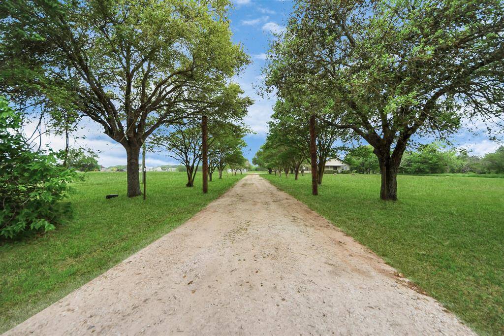 A picturesque, tree-lined dirt driveway leads to a serene countryside home, surrounded by lush green lawns and open skies, offering a peaceful rural retreat.