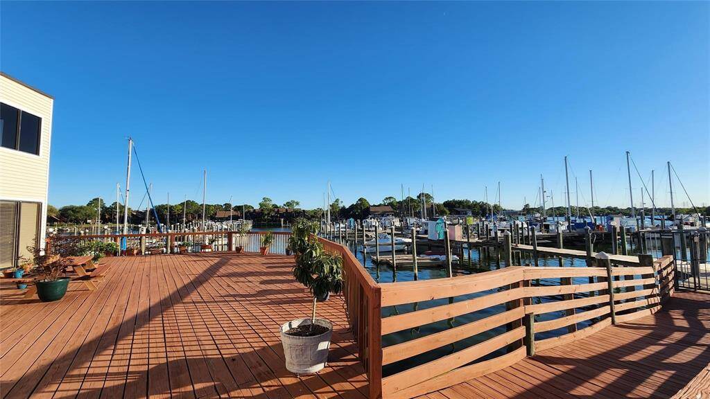 View from the Dock