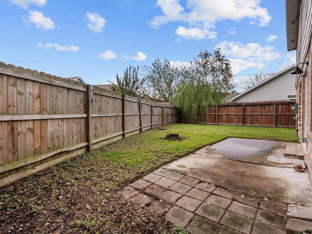 Backyard view
