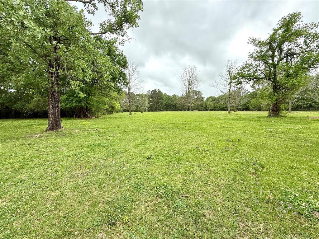 Pasture