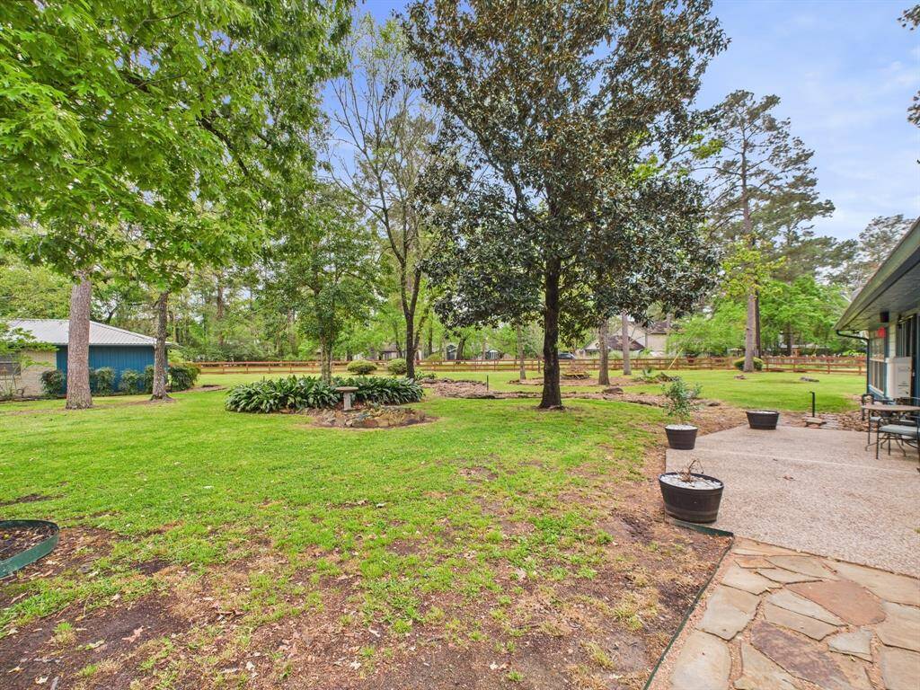 2 acre back yard.
