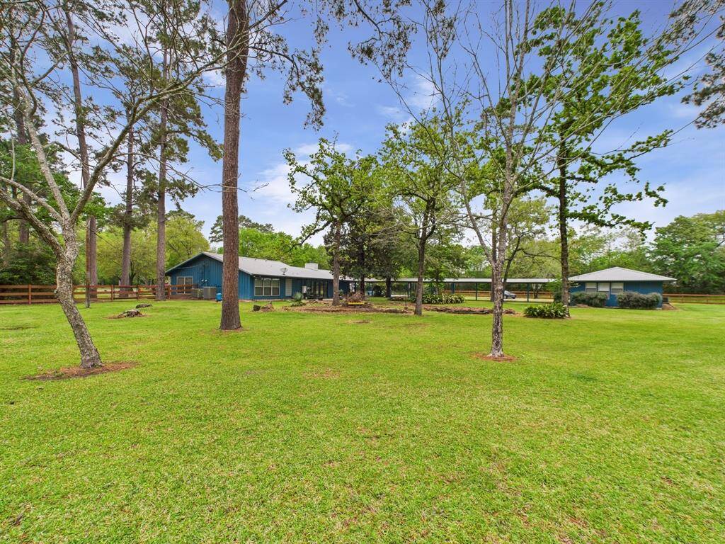 What a yard!