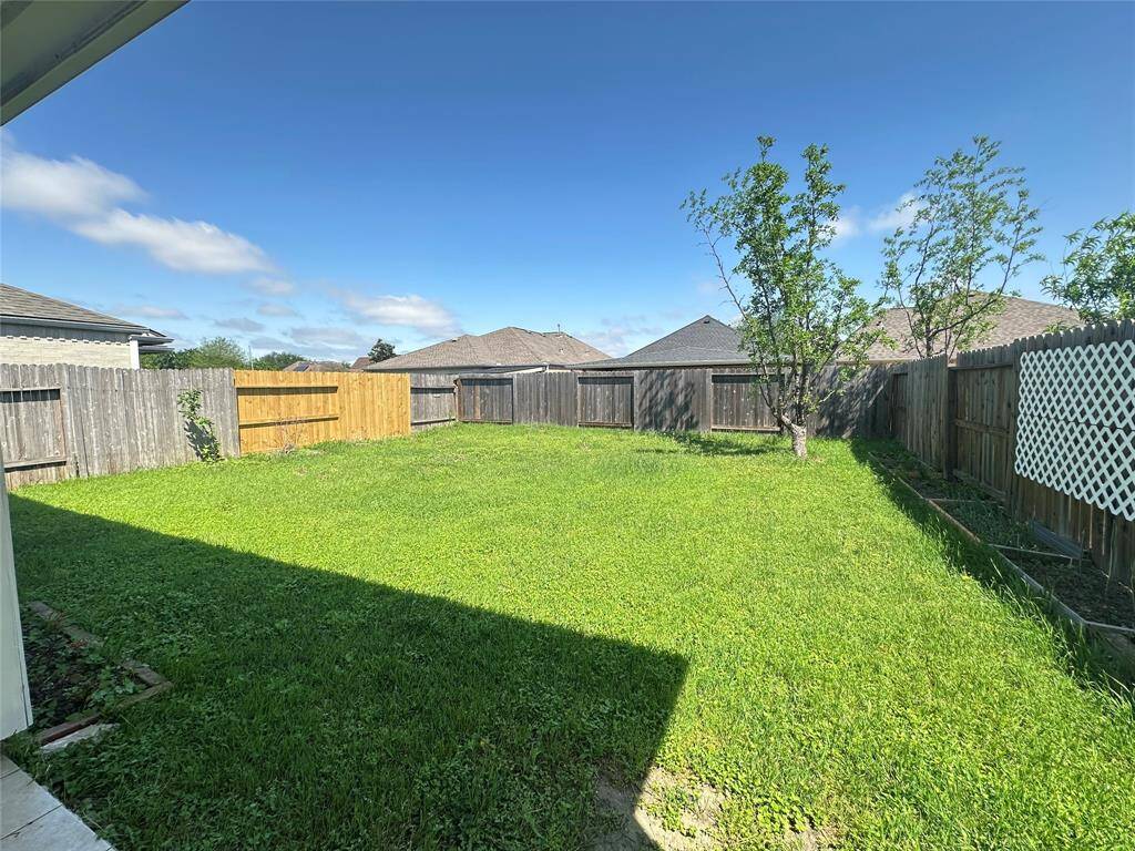 Large big backyard