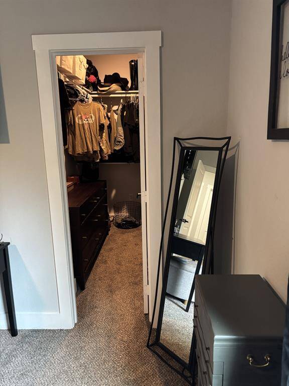 Primary Closet