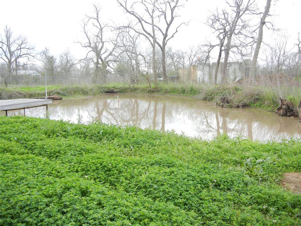 Small pond