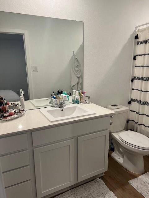 Owner's bathroom