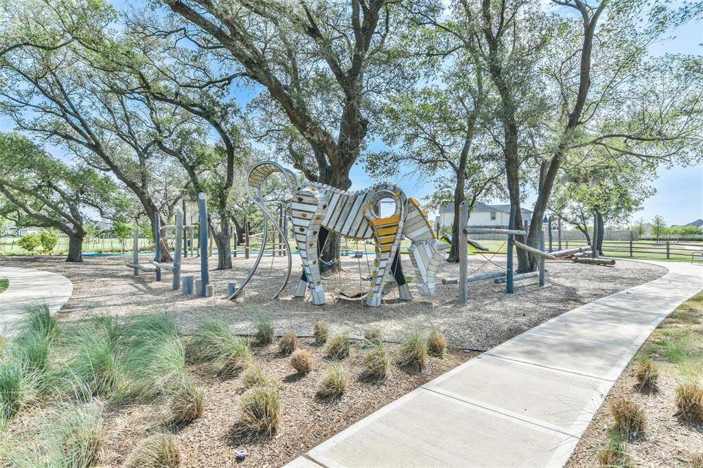 Pony Park with its rock climbing horse