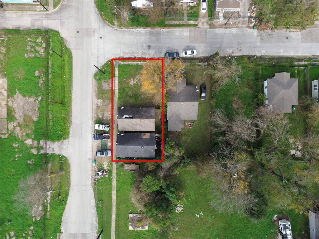 3703 Live Oak