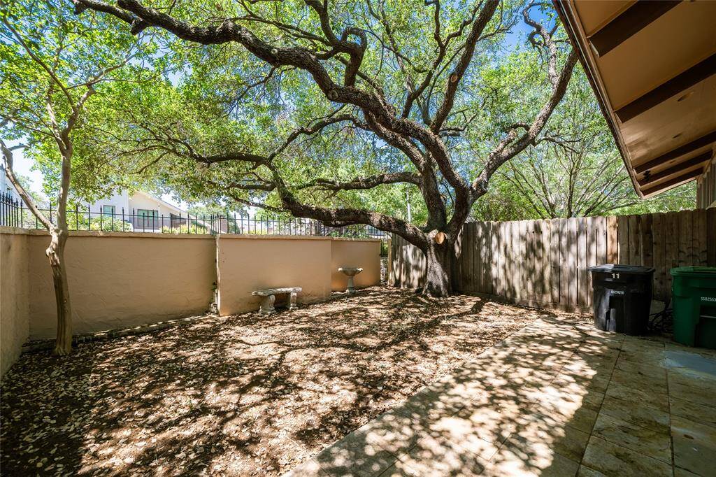 Exterior Rear View with Tree