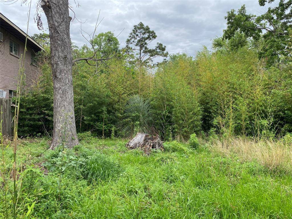 Left side of property