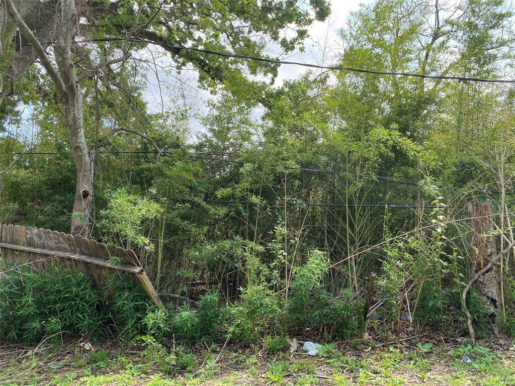 Fallen fence at back of lot