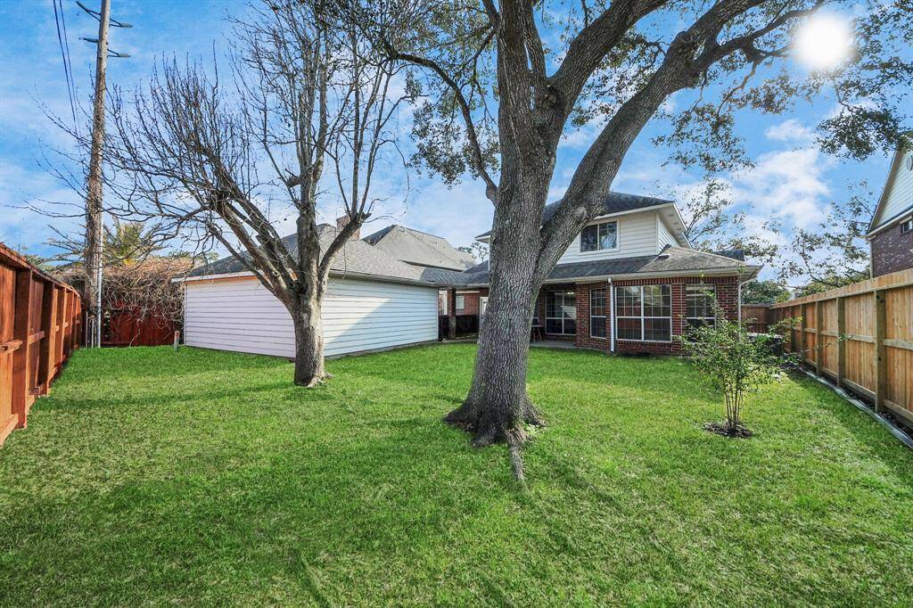 Big backyard with mature trees has plenty of space for everyone!