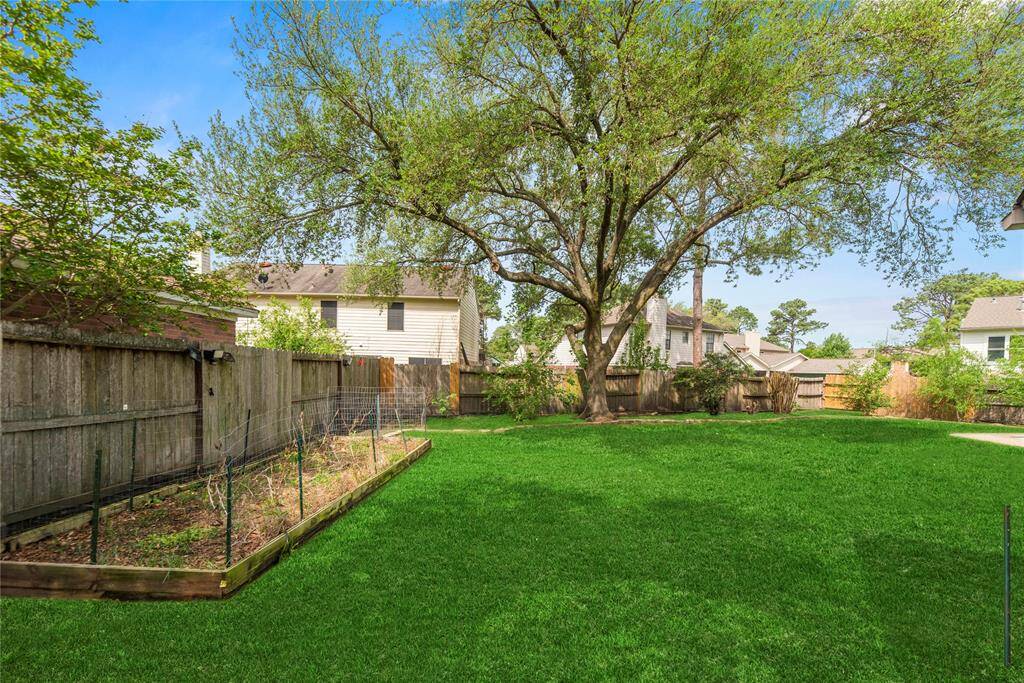 Mature shade tree. Grass has been digitally enhanced to show potential.