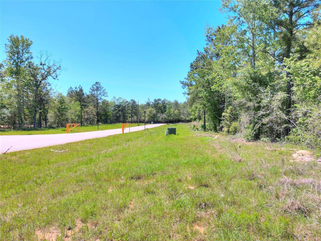 Cleared area in the front of the lot and road looking left.
