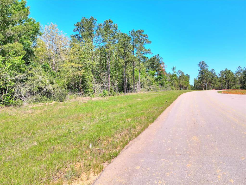 Cleared area in the front of the lot and road looking right,