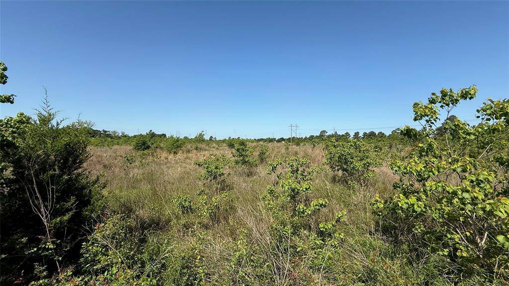 Undeveloped Residential Land