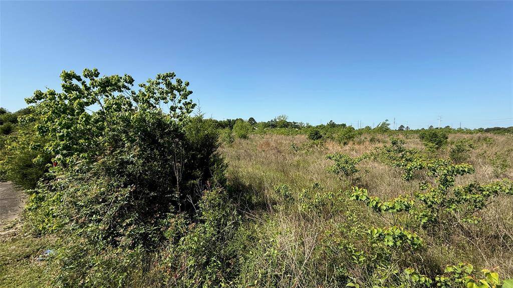 Undeveloped Residential Land