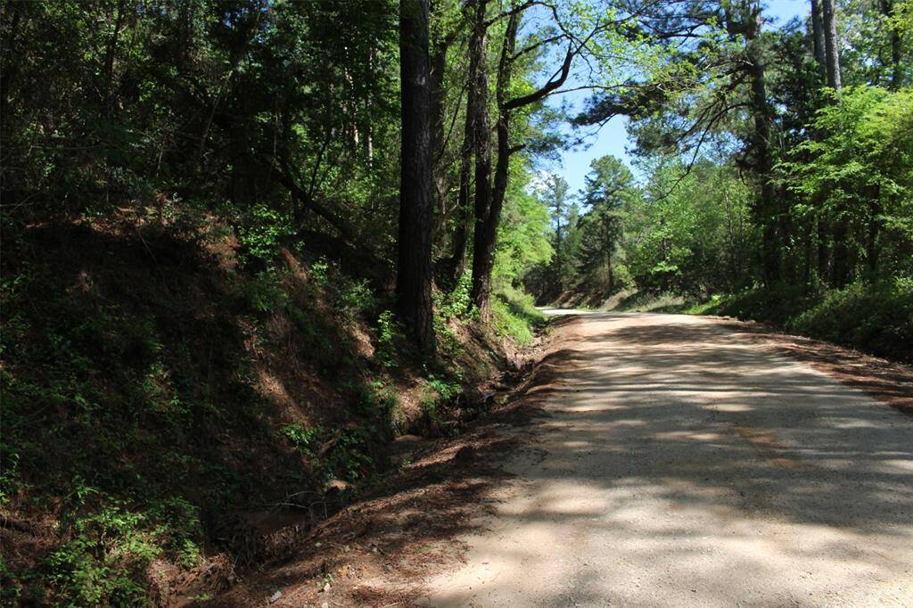 18.24 acres with NO restrictions backing up to the National Forest. Great for your new home and or hunting. Property on Left.
