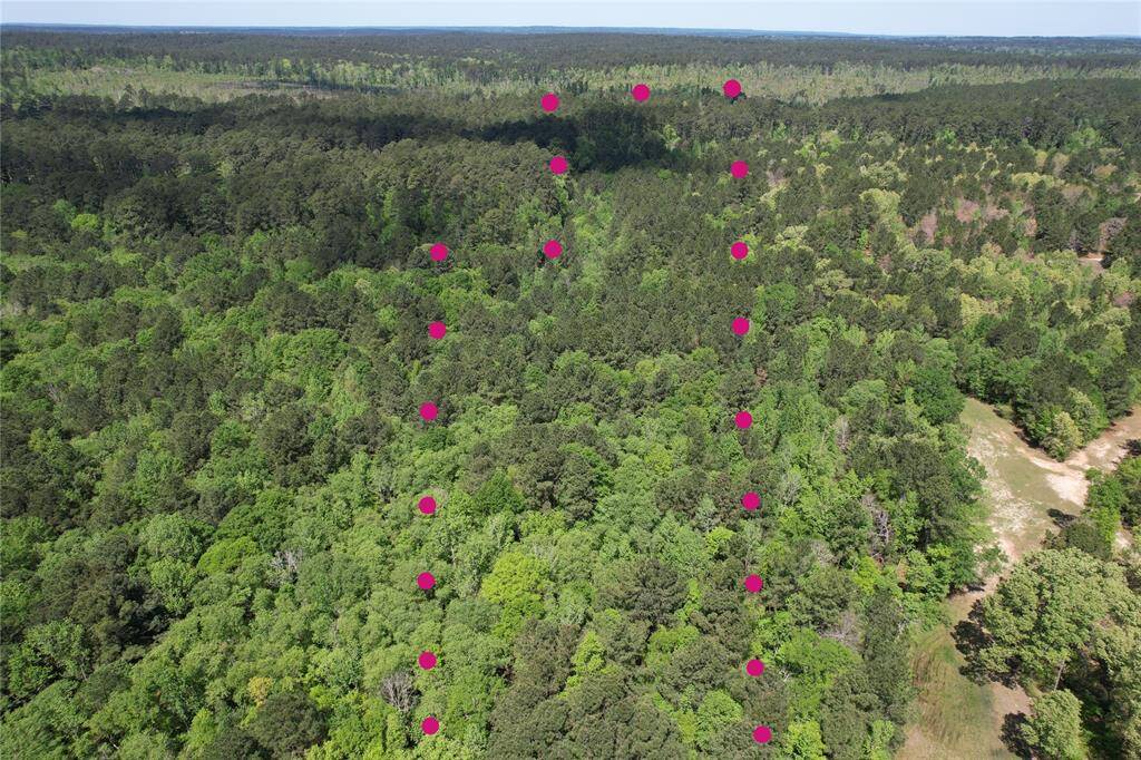 Pink dots mark approx. boundaries.