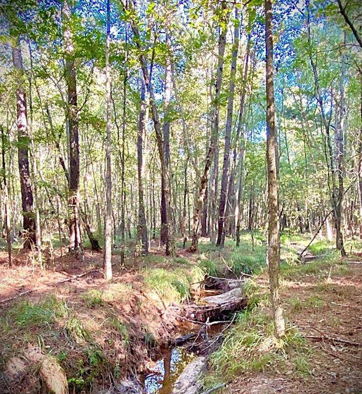 Small spring fed creek toward back of property. Perfect for wild life.
