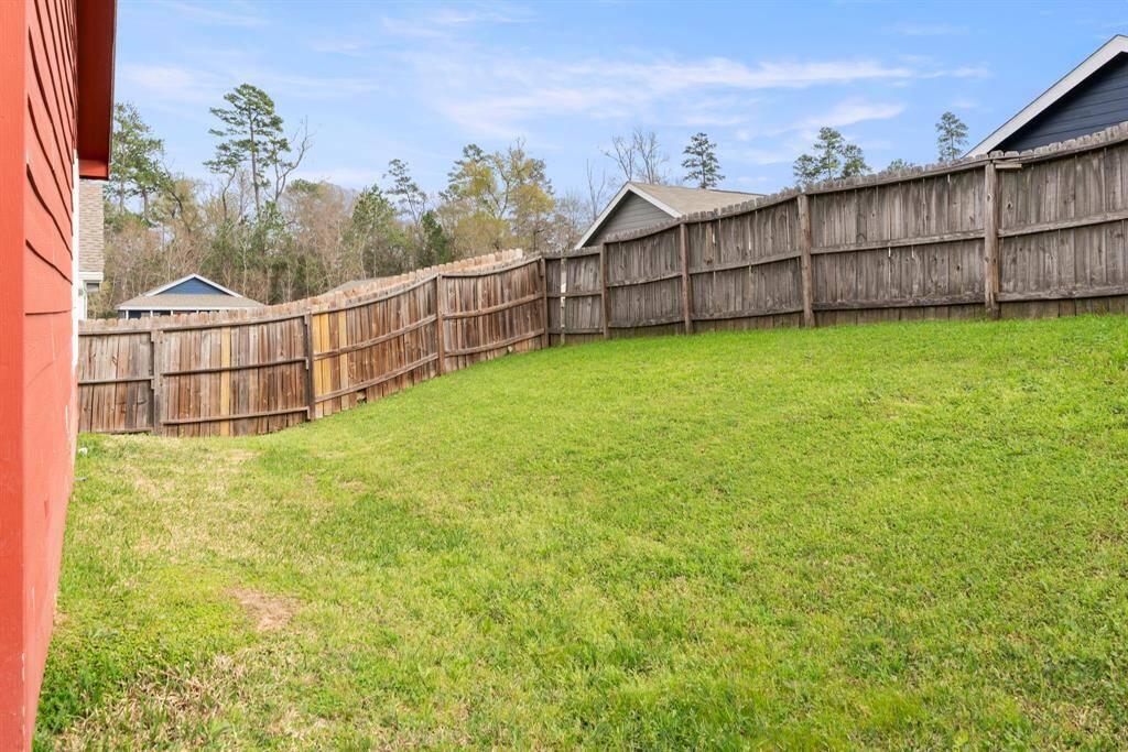 Back yard