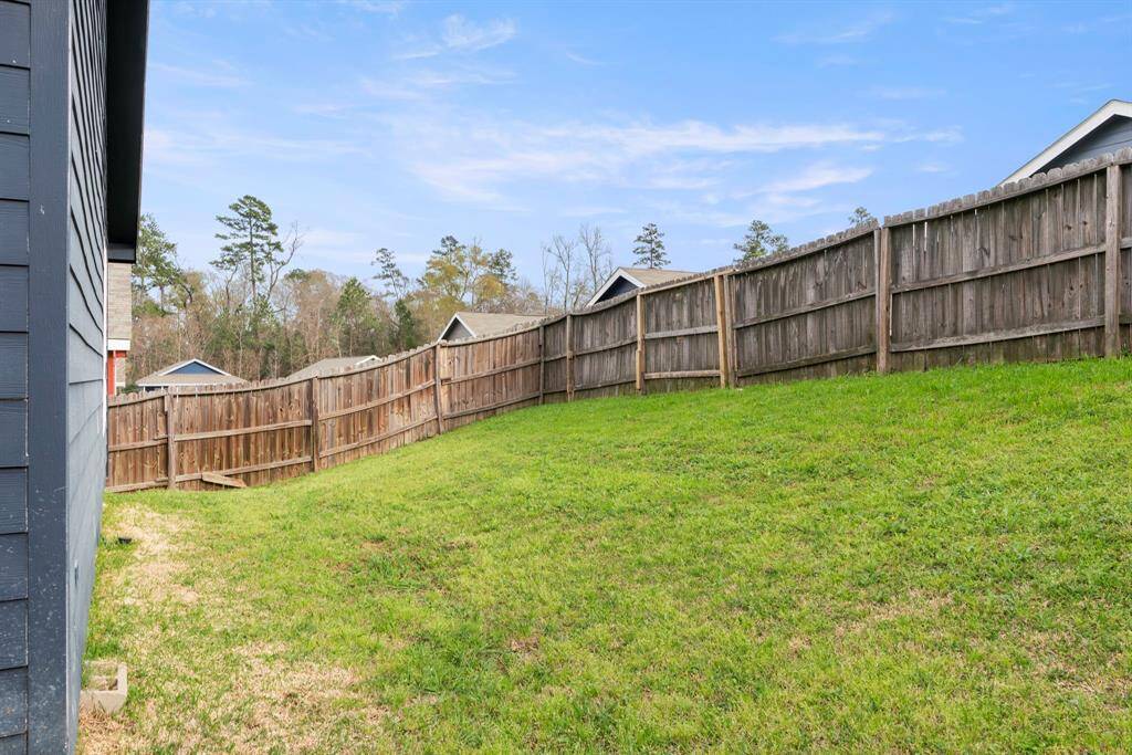 Back yard