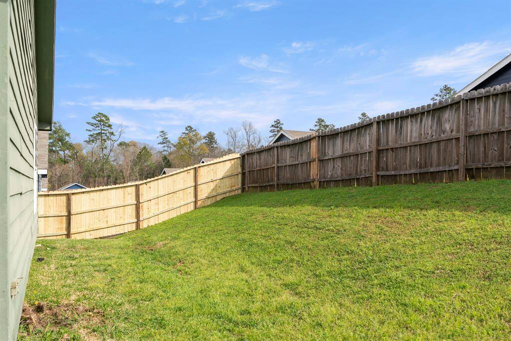 Back yard