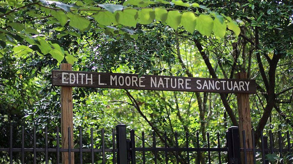 Positioned directly across from the tranquil Edith Moore Nature Sanctuary, this location offers a rare blend of natural beauty and urban convenience.