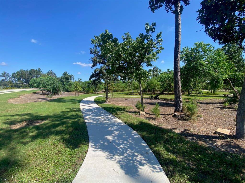 Scenic winding paths through a well-maintained park area with lush greenery and trees, perfect for leisurely walks and outdoor enjoyment.