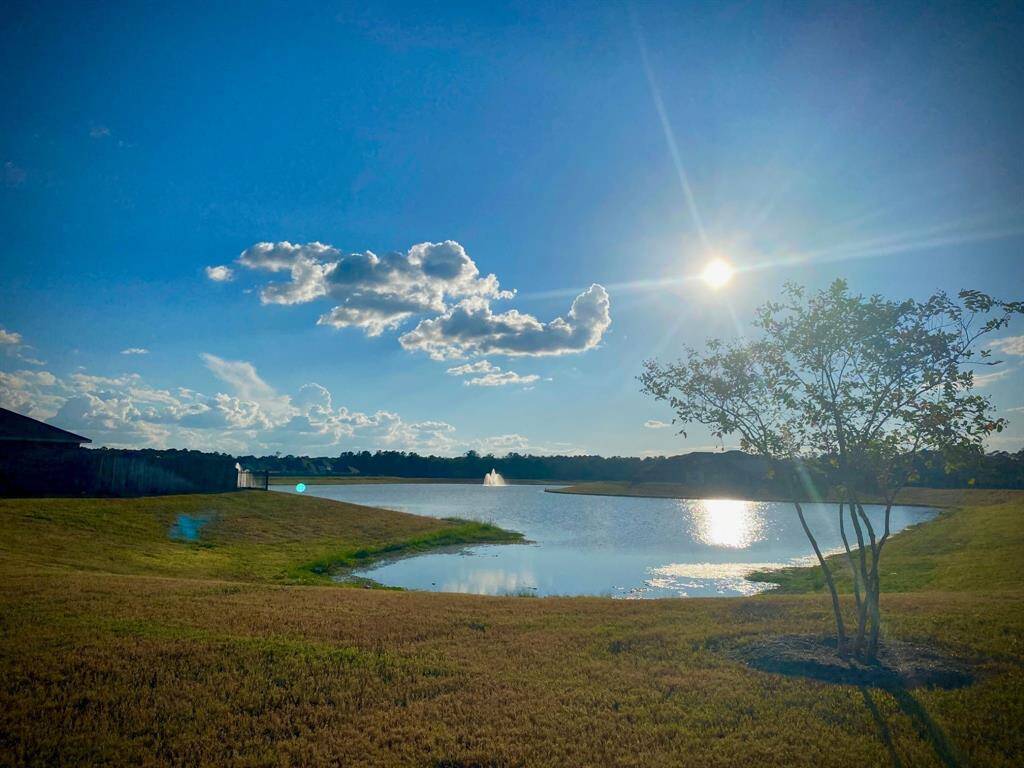 A serene lakeside view under a clear blue sky, featuring a sunlit landscape with open grassy areas and a small tree, perfect for enjoying nature and tranquility.