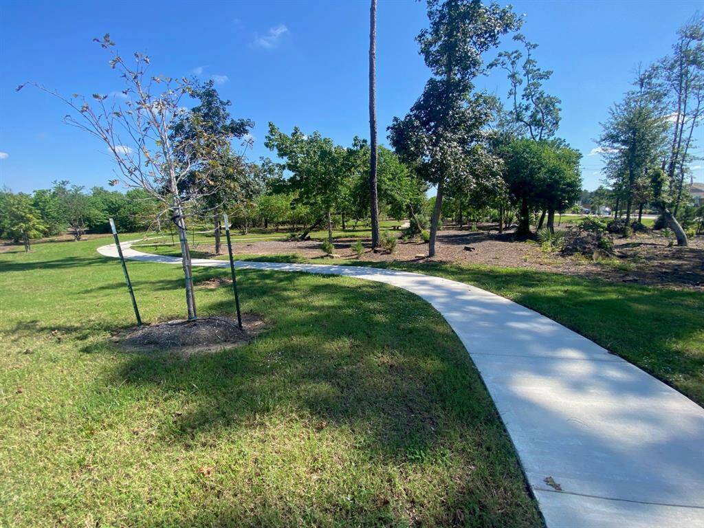 Tranquil outdoor settings with winding paths through a grassy area dotted with trees, providing a peaceful environment for walking or relaxation.