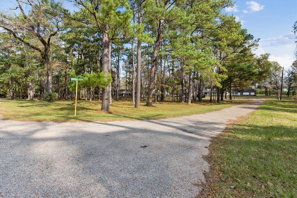Captivating shot of the enchanting 5-bedroom retreat nestled in the heart of the Enchanted Forest.
