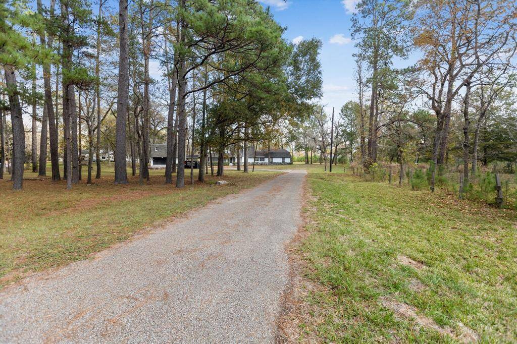 This picture highlights the corner lot as well as how the home integrates seamlessly with the surrounding nature. A perfect picture of privacy.
