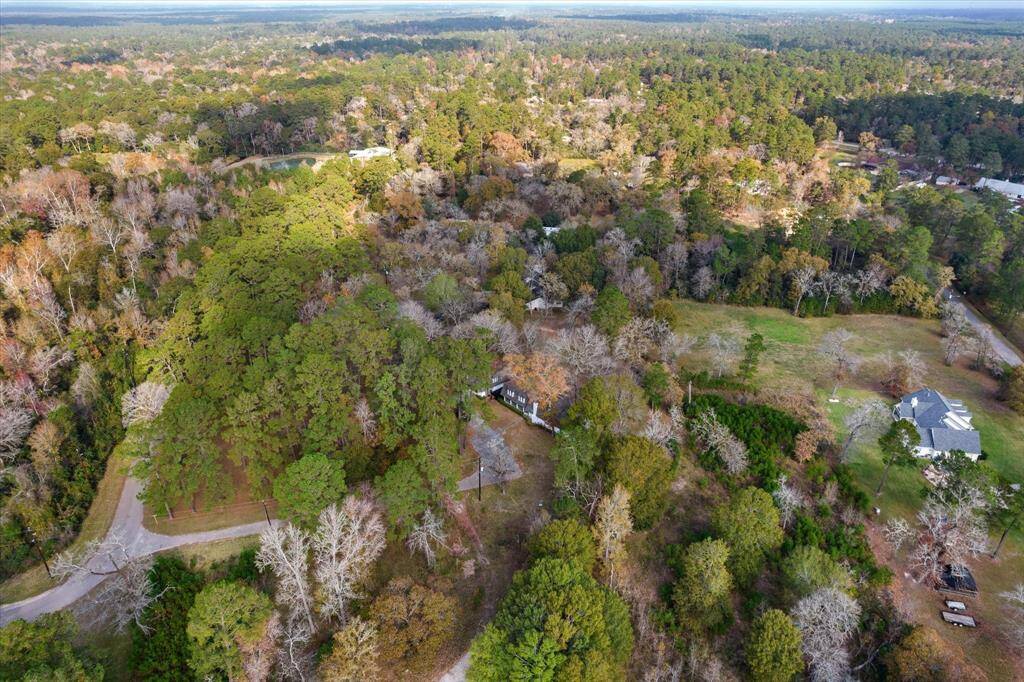 The Enchanted Forest from afar.