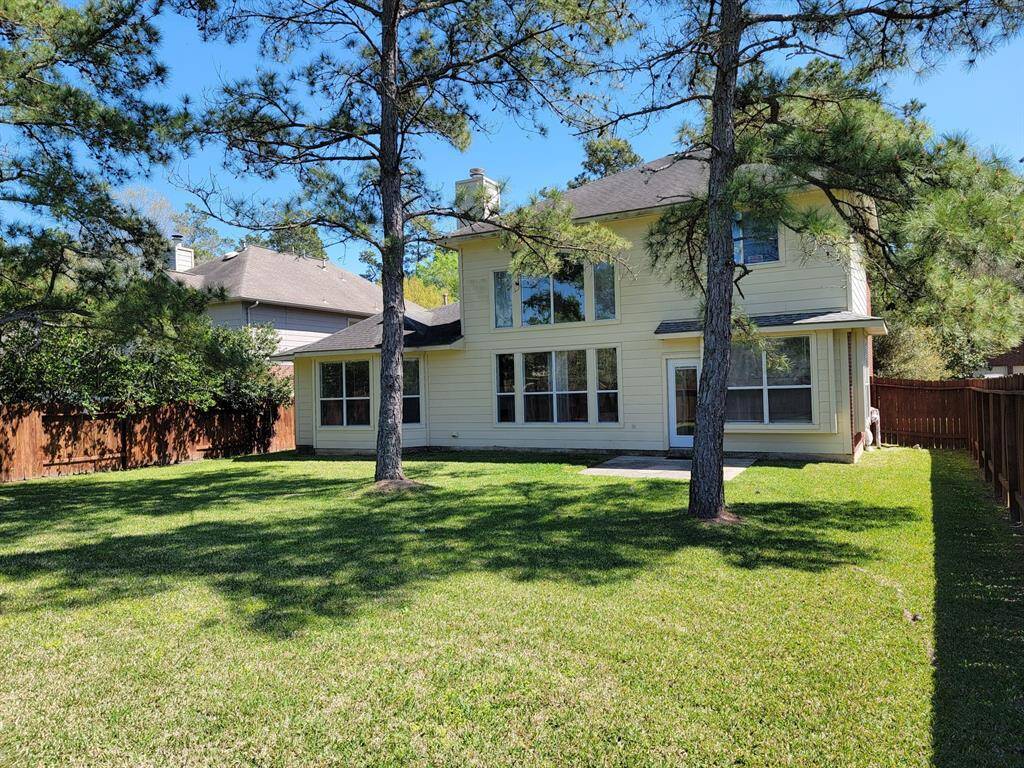 Large rear yard