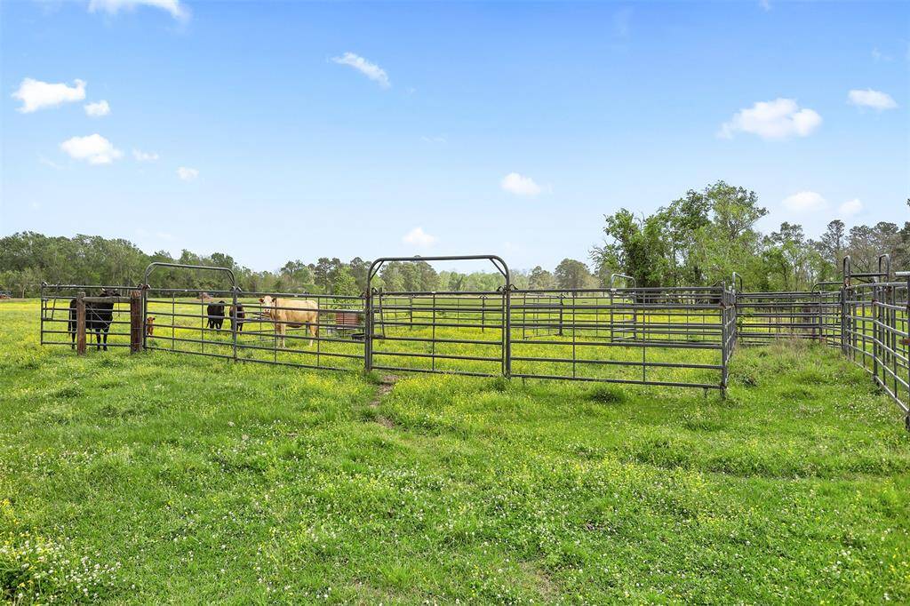 Expansive view of the chute, perfect for livestock management and farming needs.