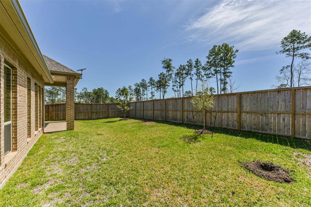 view from side yard