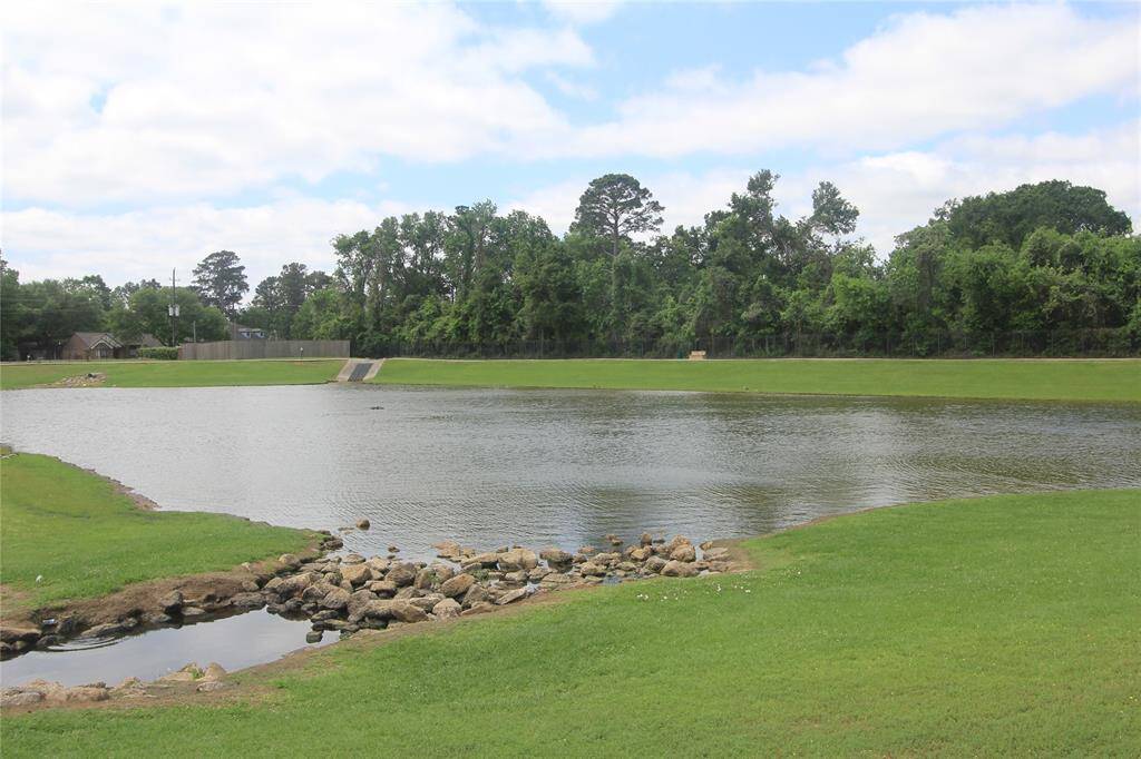 Neighborhood pond