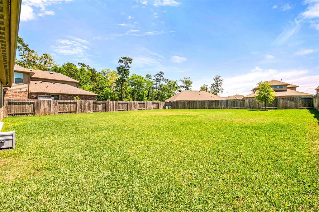Expansive backyard perfect for outdoor activities and relaxation.