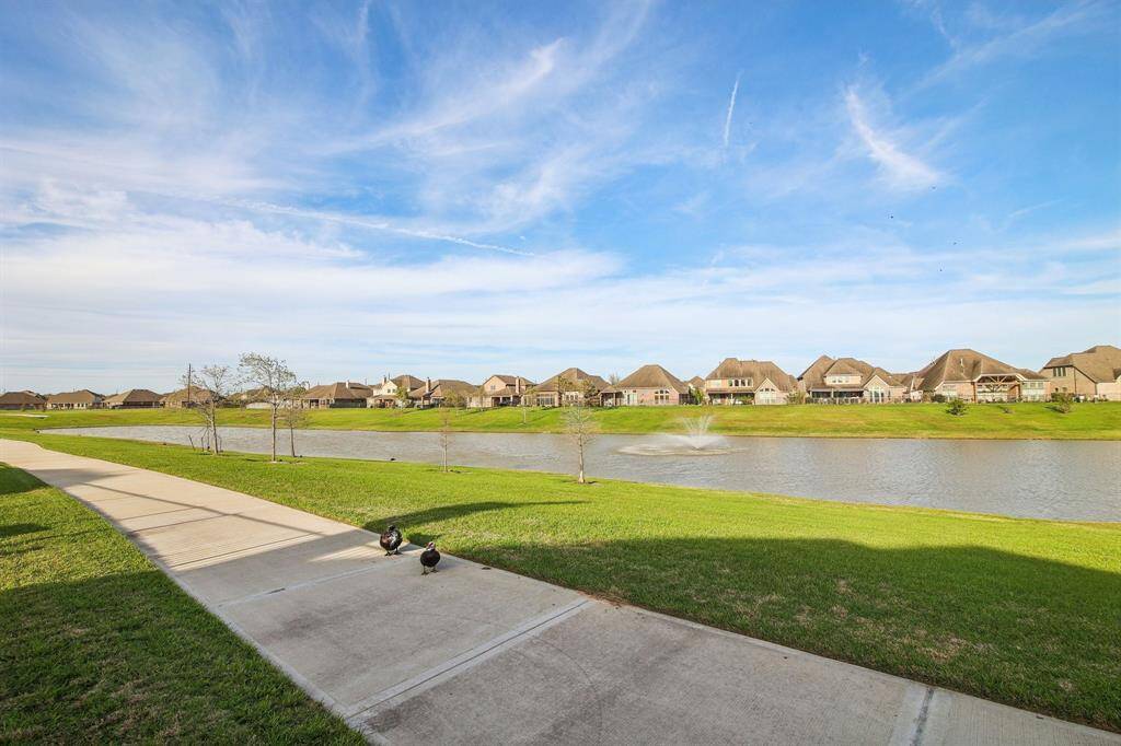 Back yard view of the lake and walking trails!