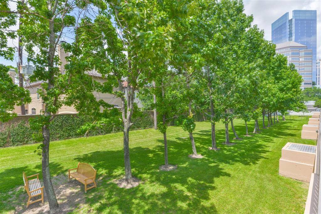 Gated dog park.