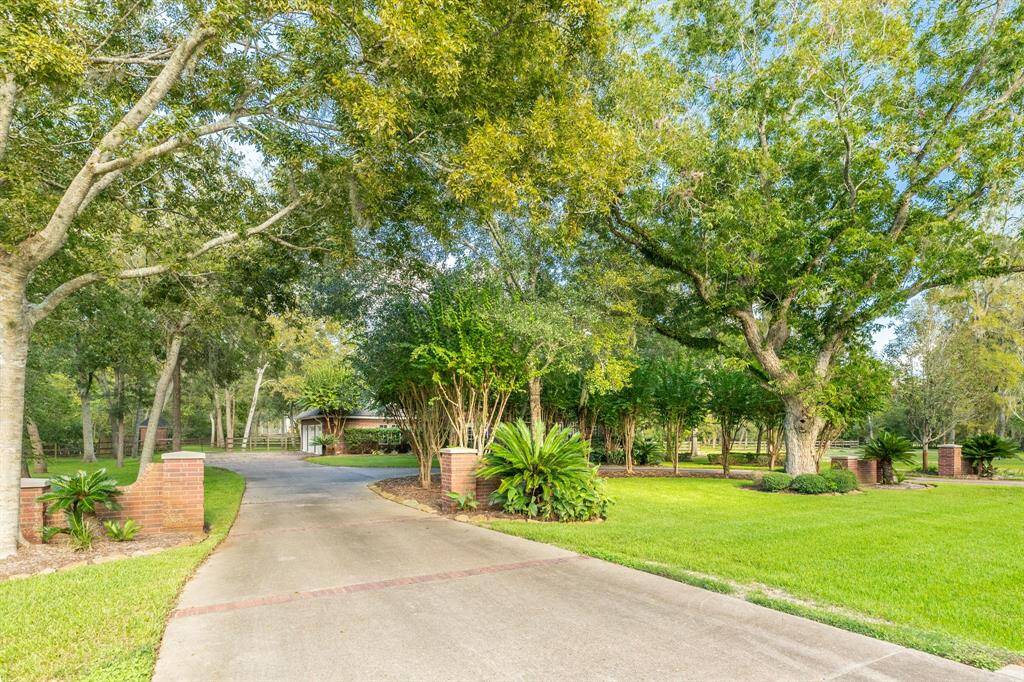 Front of the home, showing just how private it is when the trees are in full bloom!