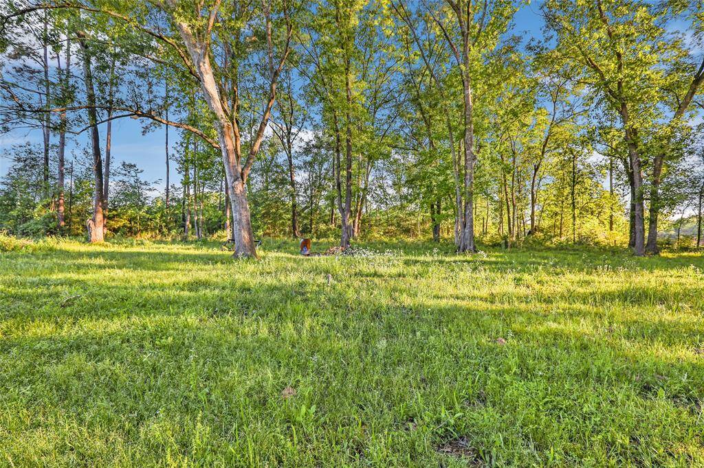 This photo showcases a serene, wooded area with tall trees and lush grass, ideal for nature lovers seeking tranquility and privacy in a natural setting.